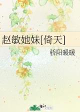 穿越红楼之庶子贾琮