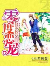 总裁老公缠上门