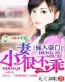 独宠腹黑小妻